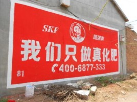 漳平刷墙广告”蕴含了时代命题
