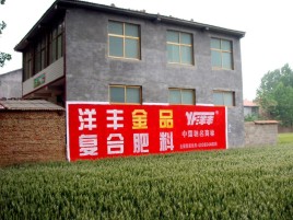漳平如何让墙体广告展现最大化效果