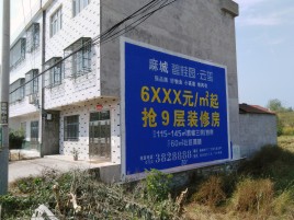 漳平墙体广告质量分析