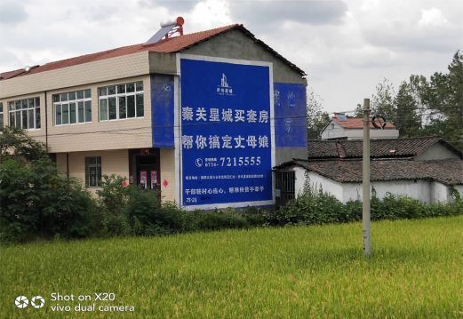 漳平决定墙体广告价格的因素有哪些?