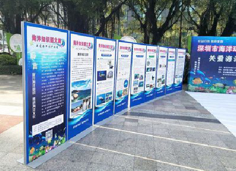 漳平KT板的种类和知识。